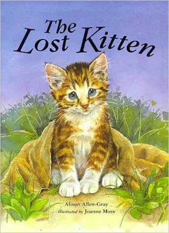 the lost kitten