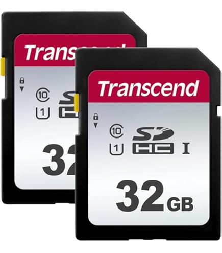 Amazon.com: Transcend Digital Camera 32 GB Memory Card, Compatible