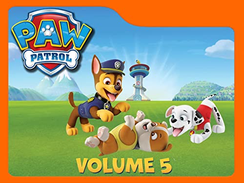 Paw Patrol - Season 5 en promo sur Amazon
