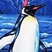 Three Rooker Penguin Ties Mens Animal Necktie Tie