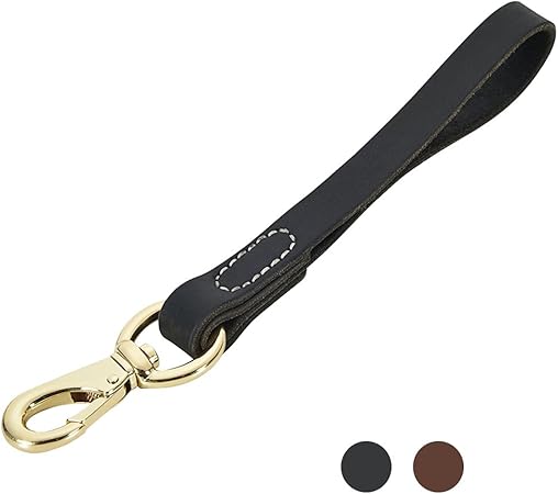 amazon leather leash