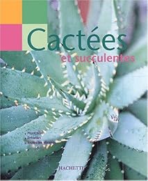 Cactées et succulents