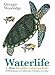 Waterlife: A Mini Mindful Coloring Book by 
