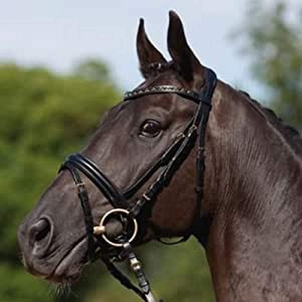 KIEFFER Snaffle bridle COMFORT VERONA