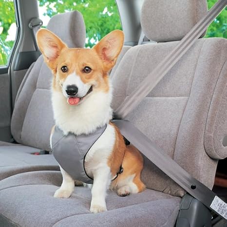 Resultado de imagen para ç¬ corgi è»ã®ä¸ã§