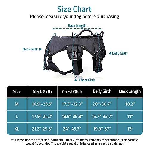 rabbitgoo Escape Proof Dog Harness, Soft Padded Full Body Pet Harness