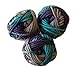 Bernat Softee Chunky Yarn Bundle Super Bulky Number 6, 3 Skeins (Shadow Ombre)