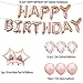 20th Birthday Decorations Party Supplies, 20th Birthday Balloons Rose Gold, Number 20 Mylar Balloon, Latex Balloon Decoration, Great Sweet 20th Birthday for Girls, Photo Props