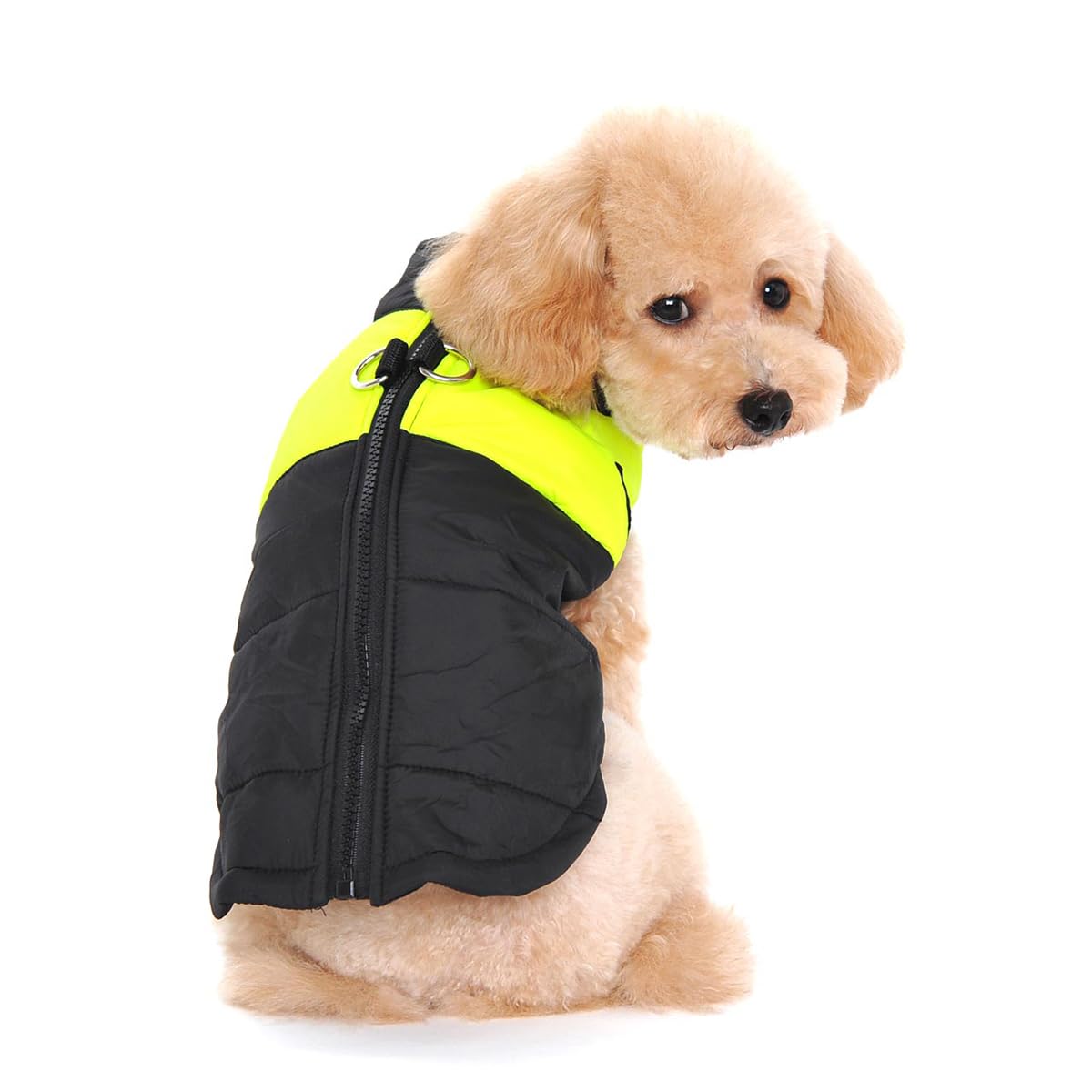 Ectkuee Waterproof Dog Coat Jacket Warm Padded Puffer Pet Dog Puppy Clothes Vest (Green,S) โ image 1