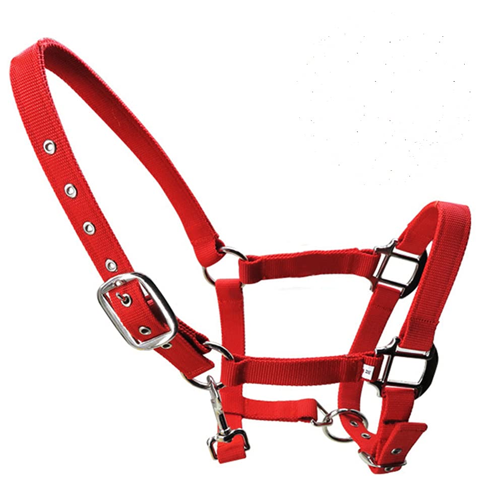 tooloflife Red-Small Adjustable Horse Print Padded Headcollars Nylon Equestrian Headcollar for Foal, Pony, Donkey