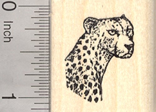 thumbnail image 2 of Cheetah Rubber Stamp 2 of 11