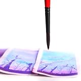 Transon Artist Round Watercolor Brush Set 9pcs Synthetic Sable view 6