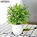 OFFIDIX Mini Plastic Artificial Eucalyptus Leaves Topiary Plant with Pots,Faux Plant Small Plants for Home,Office and Bathroom Decoration