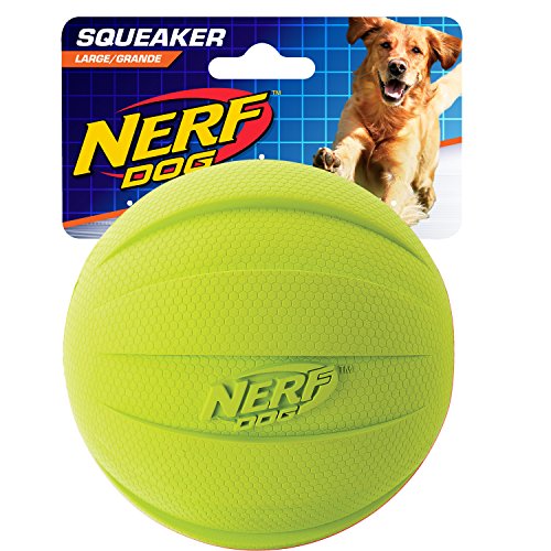 Nerf Dog Squeak Rubbber Ball Dog Toy, Medium/Large, Green