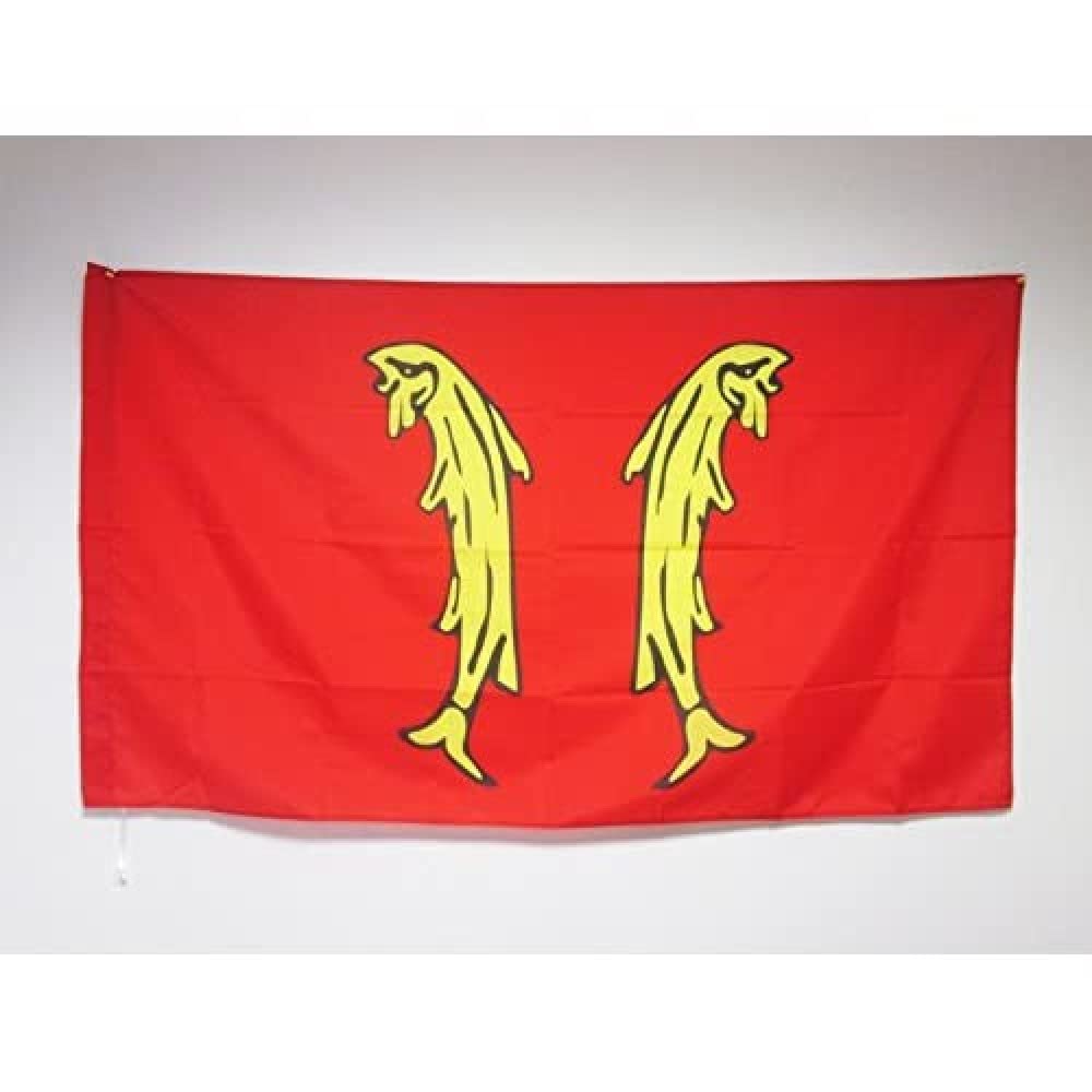 AZ FLAG - French Principality of Montbeliard Flag - 3x5 Ft - County of Montbéliard Banner with Sleeve - 100% Polyester - Fade Resistant - Vivid Colors - 3' x 5' Feet - 150x90 Cm