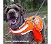 Reflective Dog Vest –Blaze Orange and Reflective Silver– Lightweight Breathable Fabric– Secure Adjustable Elastic Waistband +BONUS Storage Bag LARGE