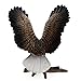 Schleich Bald Eagle Toy Figure
