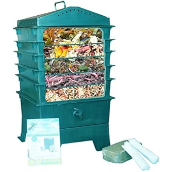 Amazon.com : Uncle Jim's Worm Farm 1, 000 Count Red 