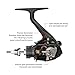 Piscifun Honor Spinning Reel Sealed Carbon Fiber Drag Light Weight Ultra Smooth 13.2LB Drag Fishing Spinning Reels (3000 Series)