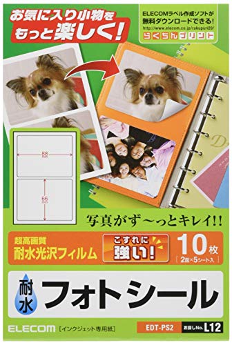 ELECOM EDT-PS2 Photosicle (10 Pieces: 5 Sheets x 2 Sides) at Amazon