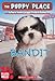 The Puppy Place #24: Bandit