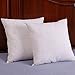 LunarTex Set of 2, Down and Feather Throw Pillow Insert, 100% Cotton, 24X24 inch