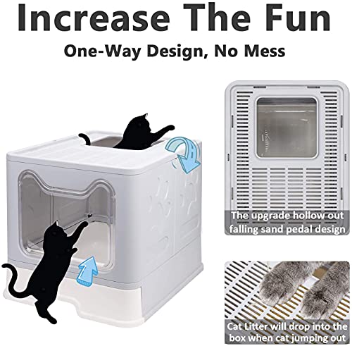 Orchid M TIM Cat Litter Box with Lid (Grey)
