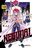 Negima!: Magister Negi Magi, Vol. 13
