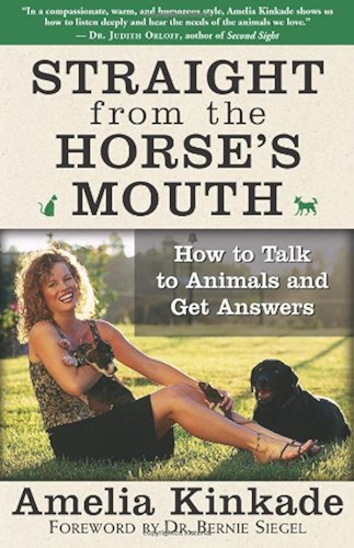 Download Straight from the Horse's Mouth: How to Talk to Animals and Get Answers (English Edition) PDF