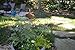 Wren H438 21-Inch Stainless Steel Stake with Copper Re-Usable Plant Tag, 6-Pack