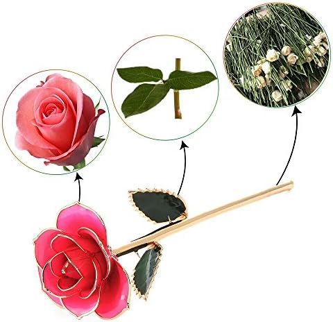 TOMSKY LIMITED 24K Gold Dipped Pink Rose, Long Stem Real Fresh Natural Rose Trimmed in Yellow Gold in Brown Gift Box Best Gift for Mother's Day Valentine's Day Anniversary(Pink)