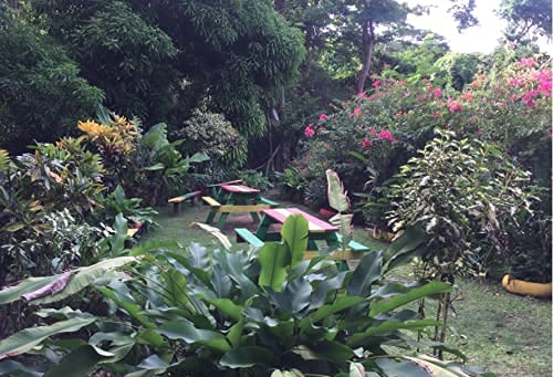 View 6