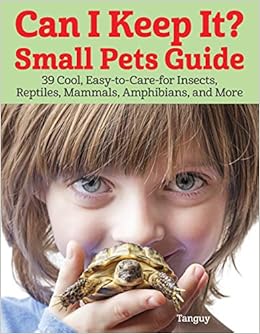 small easy to care for pets