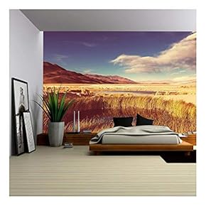 Landscapes in Northern Argentina - Removable Wall Mural | Self-Adhesive Large Wallpaper - 66x96 inches