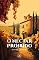 Livro O Néctar Proibido