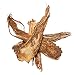 Angelica Root | Dang Gui, Whole Root Chinese Herb - Suitable to Tonify the Blood, Regulate the Menses, Relieves Pain or to Reduce the Swelling - Medicinal Grade Chinese Herb 1 Oz - Plum Dragon Herbs