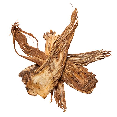 Angelica Root | Dang Gui, Whole Root Chinese Herb - Suitable to Tonify the Blood, Regulate the Menses, Relieves Pain or to Reduce the Swelling - Medicinal Grade Chinese Herb 1 Oz - Plum Dragon Herbs Angelica Root | Dang Gui, Whole Root Chinese Herb - Suitable to Tonify the Blood, Regulate the Menses, Relieves Pain or to Reduce the Swelling - Medicinal Grade Chinese Herb 1 Oz - Plum Dragon Herbs