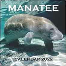 New Manatee Calendar 2022 Ngtsdp