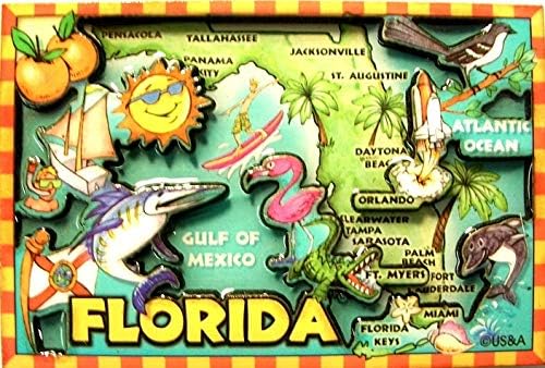 Amazon Com Florida Cartoon Map Fridge Magnet Kitchen Dining