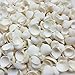 PEPPERLONELY Small White Clam Rose Sea Shells, 8 OZ, 1/3 Inch ~ 3/4 Inch