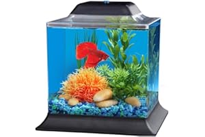 Imagitarium 1.4 Gallon Betta Aquarium