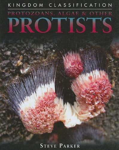Protozoans, Algae & Other Protists (Kingdom Classification)