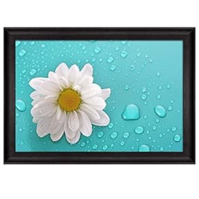 Daisy Over an Aqua Background Covered in Rain...