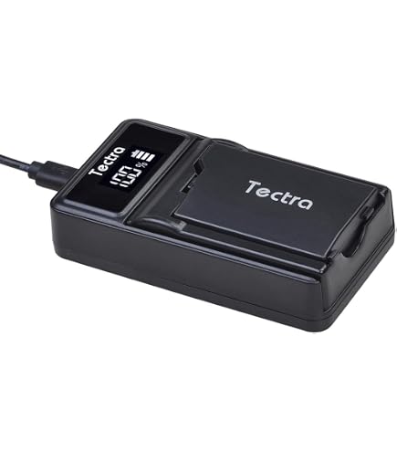 Amazon.com: Batmax 2Pcs 2400mAh PSP-2000 Battery + LED Dual USB
