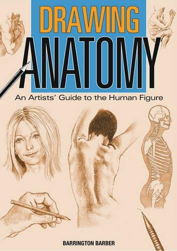 Drawing Anatomy Paperback โ Illustrated, 31 Aug. 2011
