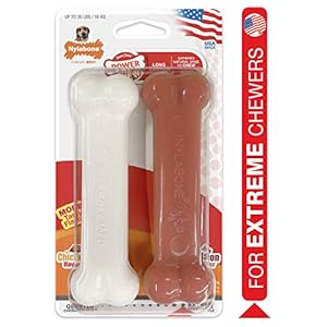 Nylabone Juguete masticable en Forma de Hueso para la higiene Dental de Perros con mordida agresiva, Hueso con Textura, sabores a beicon y Pollo, para Perros Adultos de hasta 16 Kilos 380 g
