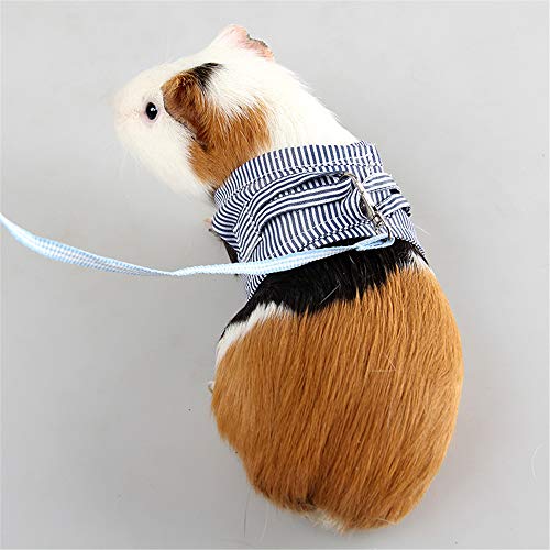 guinea pig leash