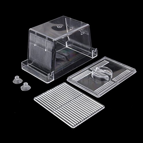 4 VORCOOL+Self+floating+Isolation+Incubator+Transparent