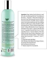 Natura Siberica Anti-Dandruff Shampoo Sensitive Scalp Oakmoss Wormwood 400ml view 2