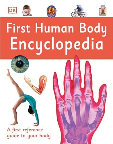 Amazon.com: Big Book of The Body: A Bold Illustrated Introduction